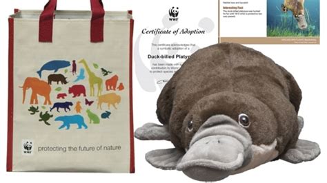 charity christmas gifts|World Wildlife Fund .